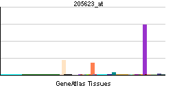 Aldehyde dehydrogenase 3 family, member A1